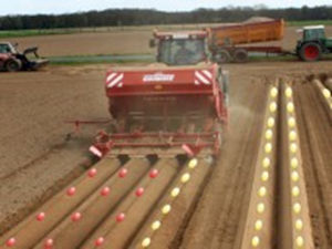 Grimme GL34F 